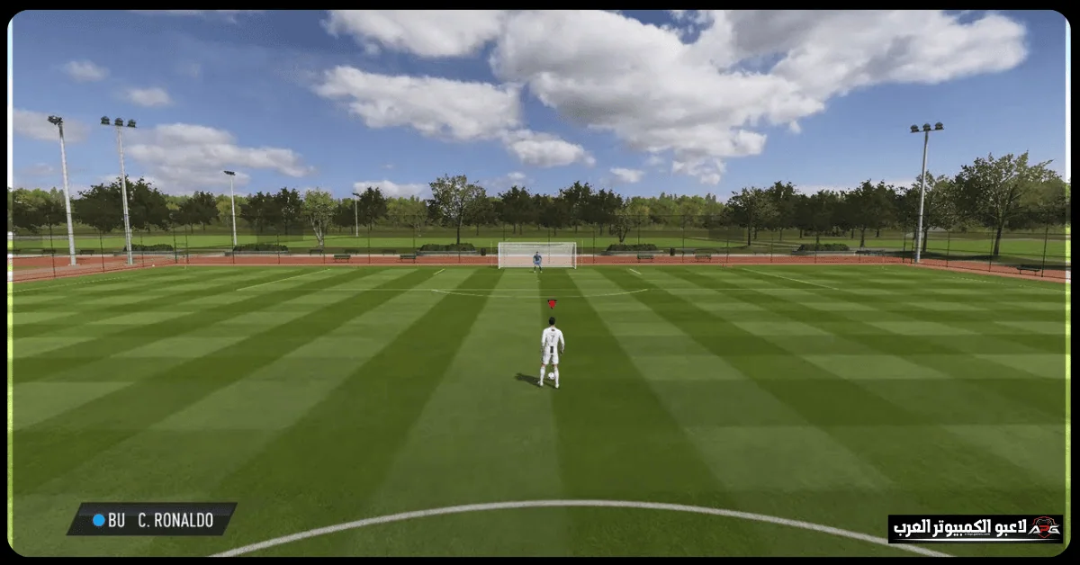 فيفا 19